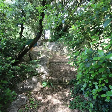 Latelier בית הארחה
